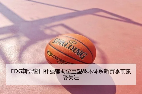 EDG转会窗口补强辅助位重塑战术体系新赛季前景受关注